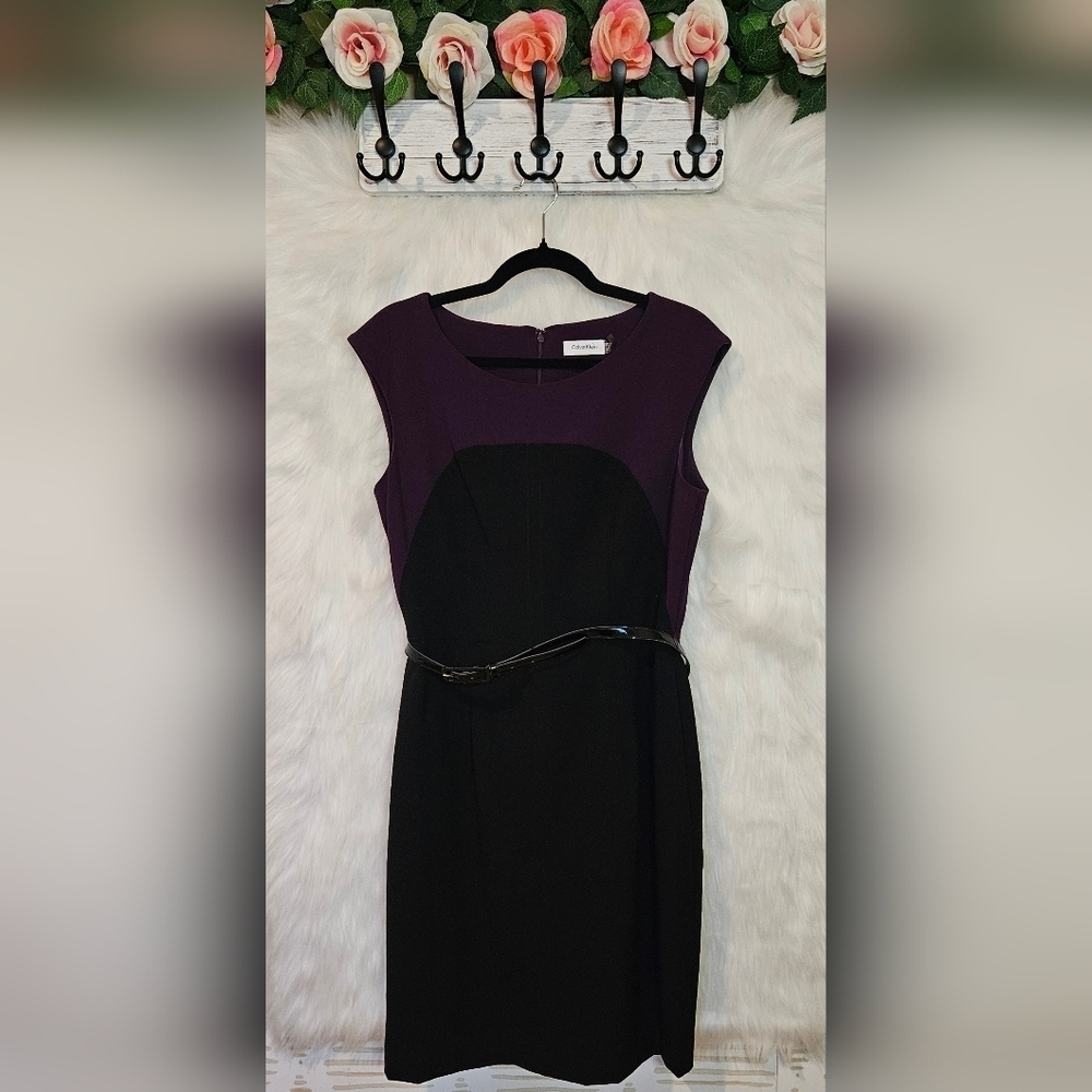Calvin Klein Classic Plum Lined Colorblock Belted Dress